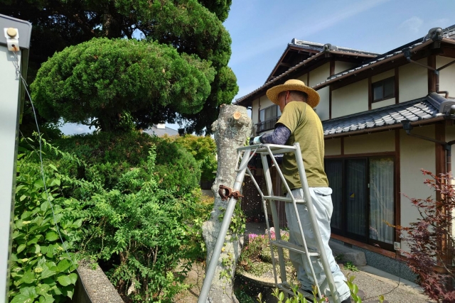 横須賀市　山本塗装　庭木　剪定　安全　脚立