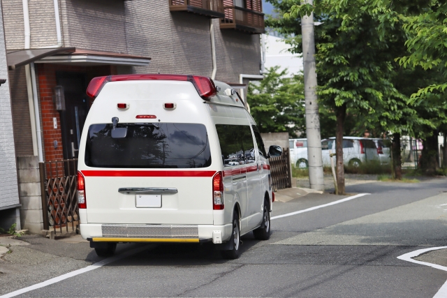 横須賀市　山本塗装　庭木　剪定　安全　脚立