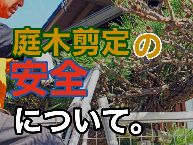 横須賀市　山本塗装　庭木　剪定　安全　脚立