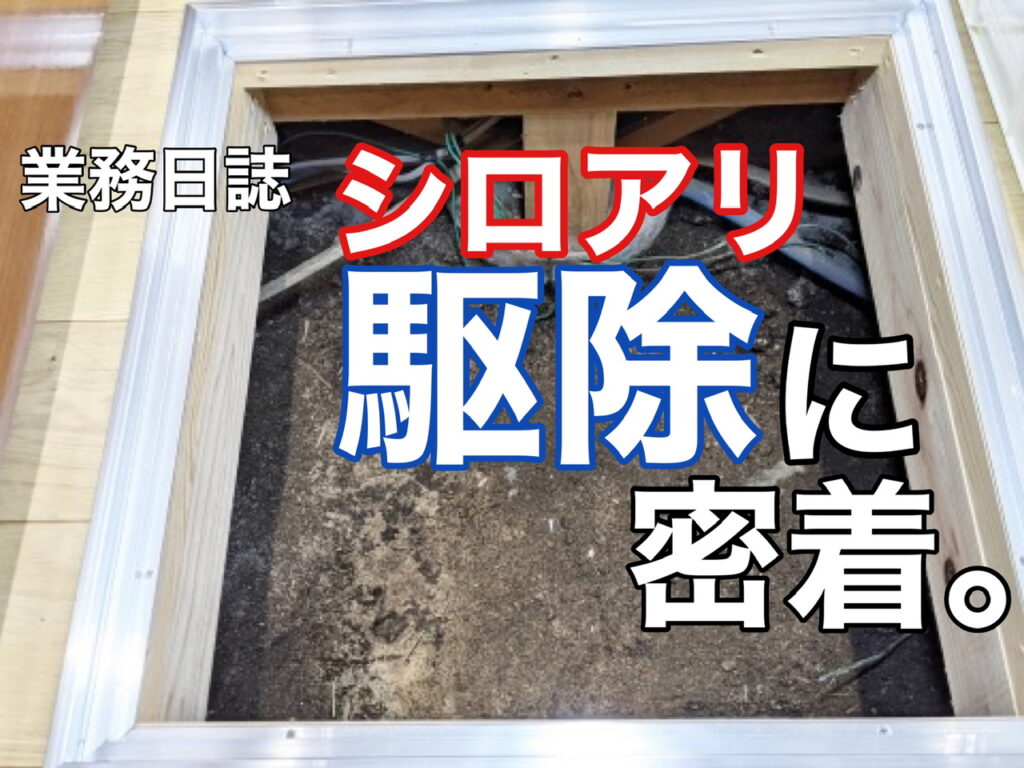 横須賀市　山本塗装　外壁　屋根　シロアリ