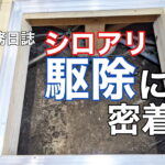 横須賀市　山本塗装　外壁　屋根　シロアリ