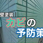 横須賀市　山本塗装　外壁　屋根　カビ