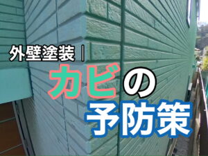 横須賀市　山本塗装　外壁　屋根　カビ
