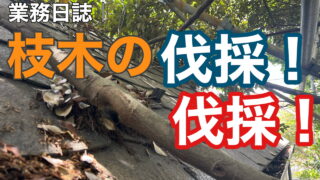 横須賀市　山本塗装　外壁　屋根　木