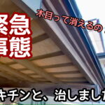 横須賀市　山本　塗装　木目　防腐　着色　オスモ　オイル