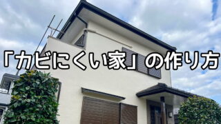 外壁　塀　カビ　藻　防カビ　横須賀　山本　塗装