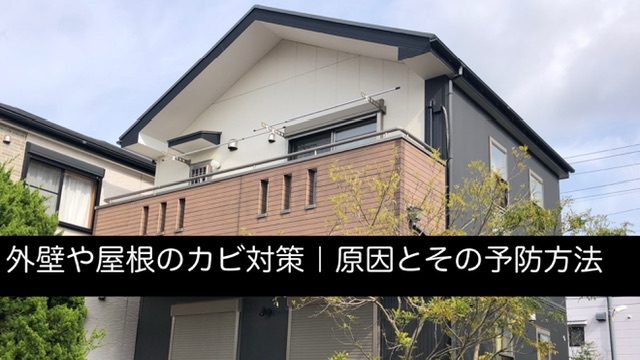 横須賀市 山本 塗装 カビ 原因 対処 方法 予防