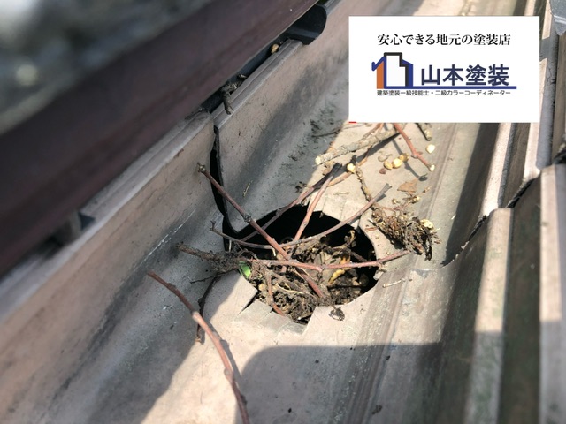 横須賀　山本　塗装　外壁　屋根　足場　ついで　洗浄　網戸　床　雨どい　ベランダ