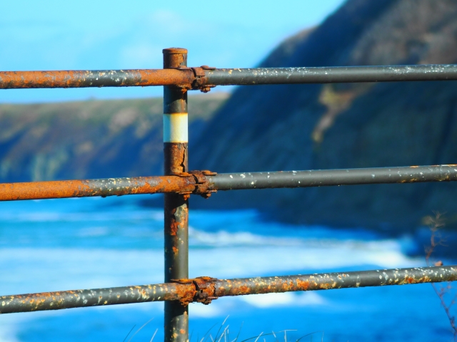 横須賀　山本　塗装　外壁　屋根　リフォーム　耐久　長く　持ち　長持ち　品質