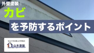 横須賀　山本　塗装　外壁　屋根　カビ　藻　DIY 掃除　清掃　落とす　原因　予防　対策