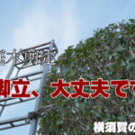 横須賀　山本　塗装　外壁　屋根　住宅　家　危険　対策　脚立