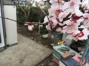 掃除山本塗装