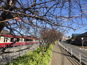 横須賀市 山本 塗装